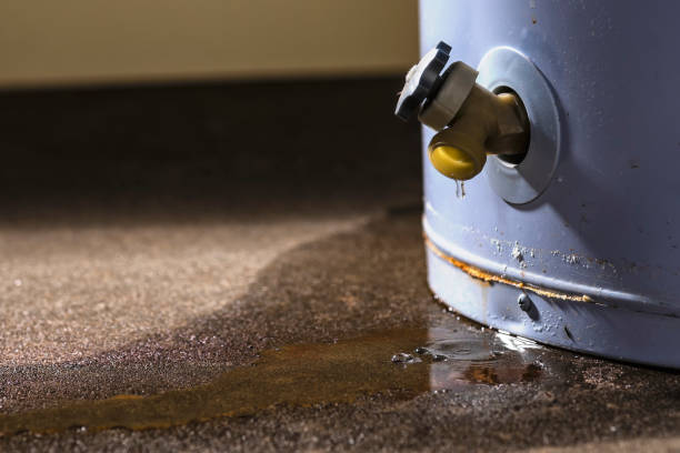 Best Water damage cleanup near me  in Bloomingdale, FL