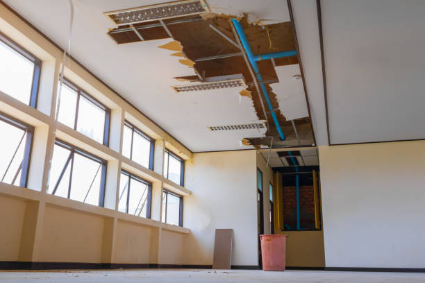 Best Professional water damage repair  in Bloomingdale, FL
