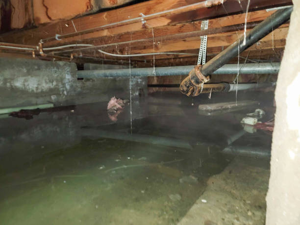 Best 24/7 water damage repair  in Bloomingdale, FL