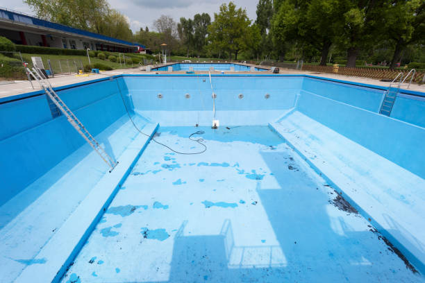 Best Local water damage restoration  in Bloomingdale, FL