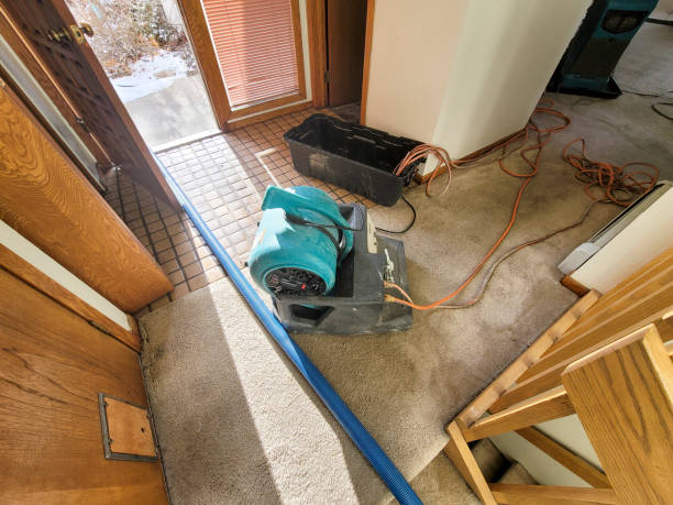 Best Water damage restoration specialists  in Bloomingdale, FL