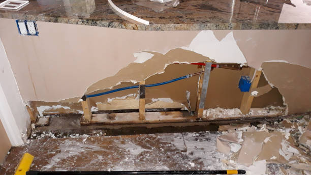 Best Carpet water damage restoration  in Bloomingdale, FL