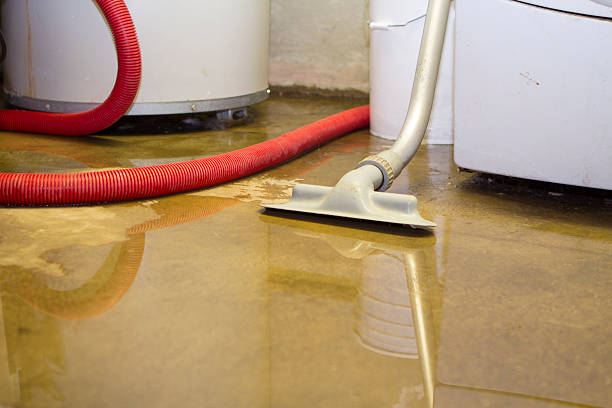 Best Water damage restoration experts  in Bloomingdale, FL