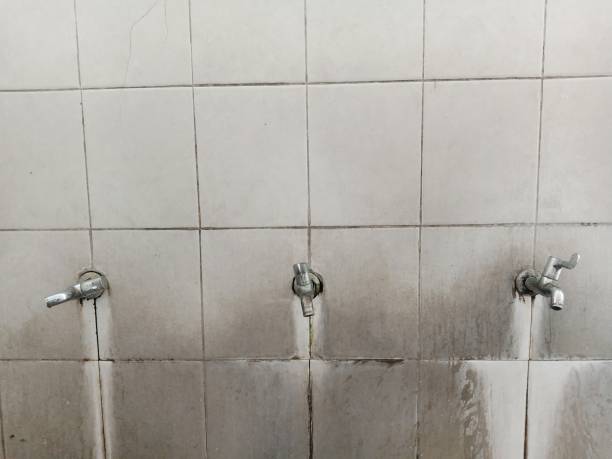 Best Water damage mitigation services  in Bloomingdale, FL
